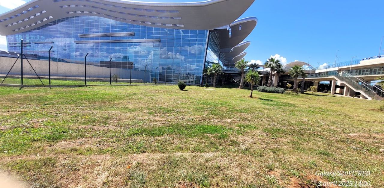 EgyptAir ALG Airport Terminal